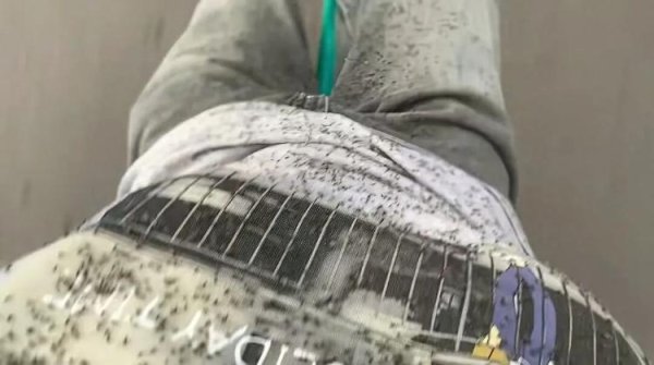 钱生财 游客称内蒙古阿尔山现大量飞虫，眼睛都睁不开，景区：不咬人